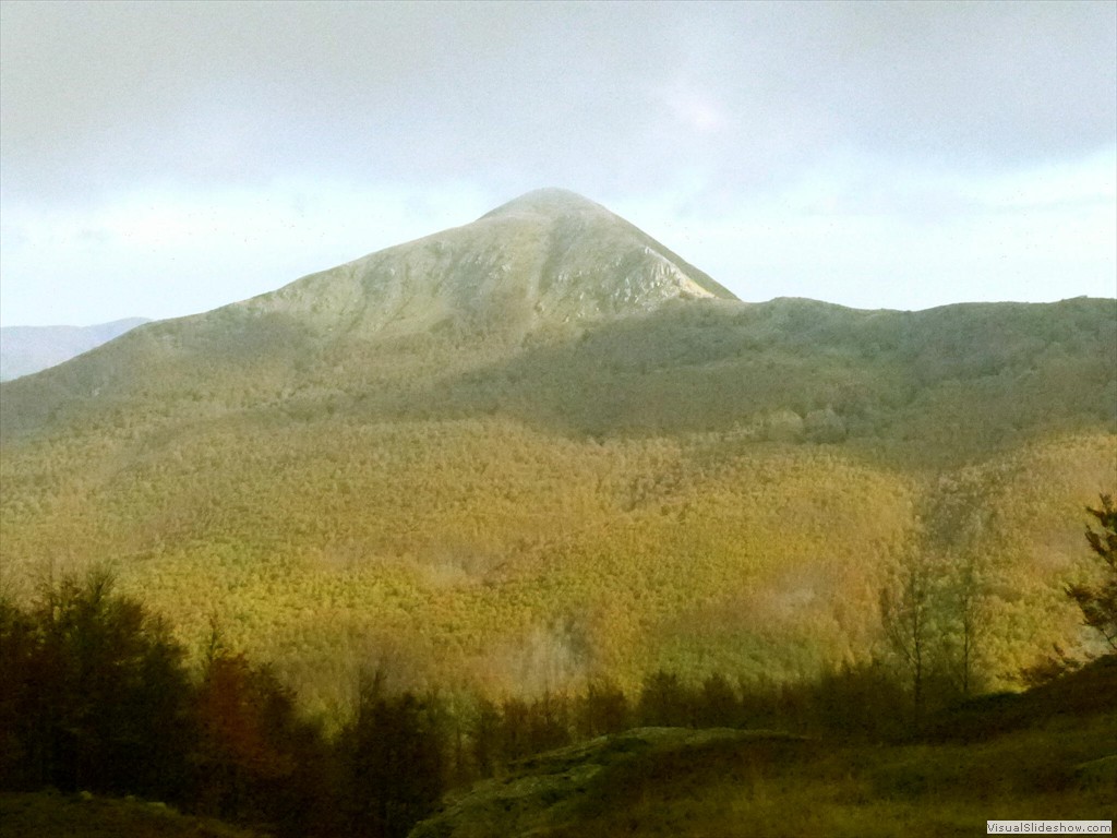 P1010740