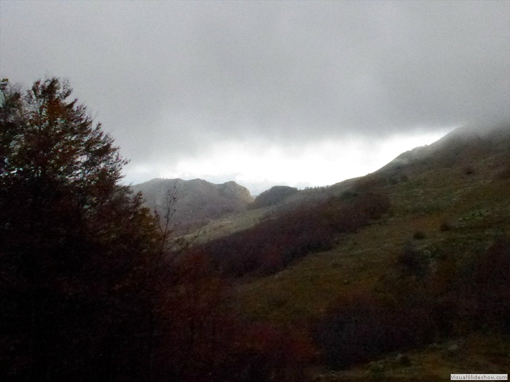 P1010742