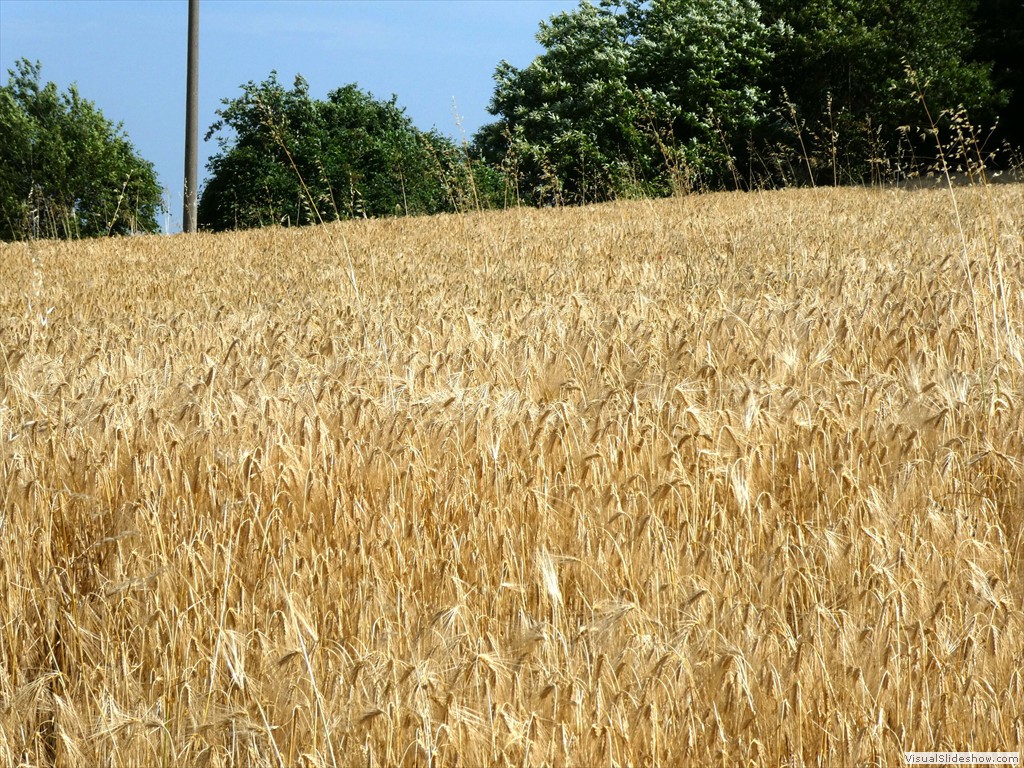 P1060029