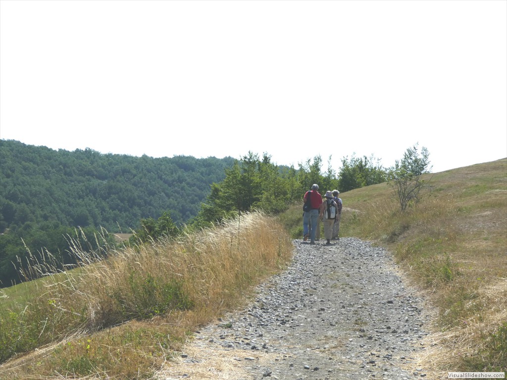 P1060031