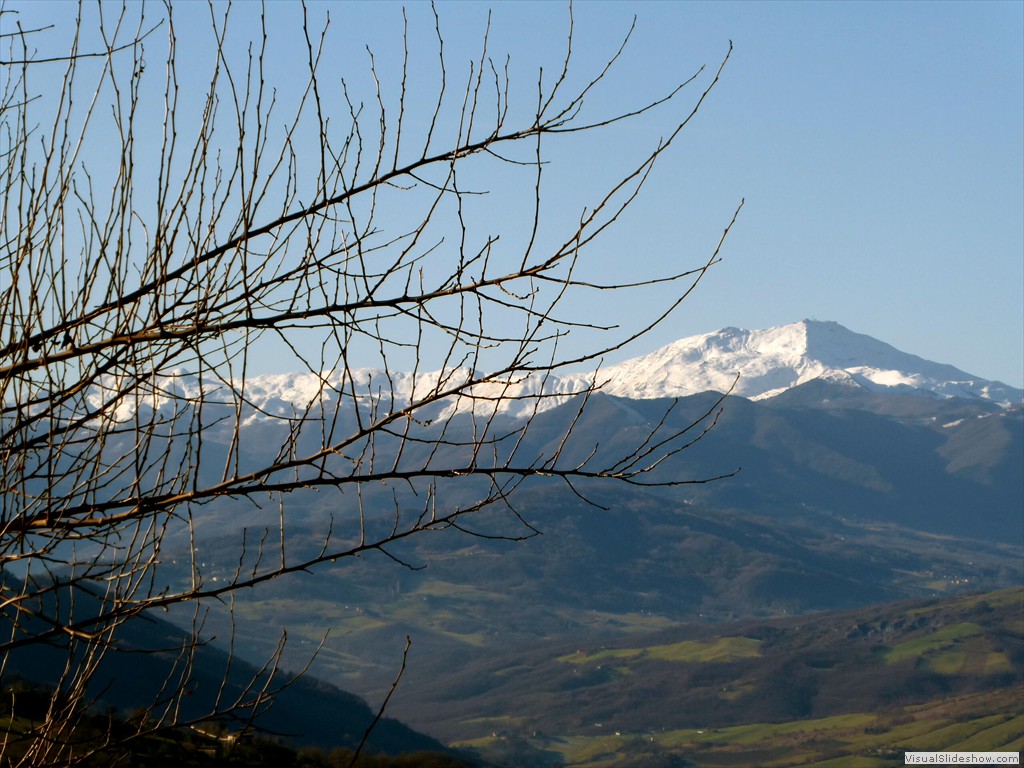 P1020612