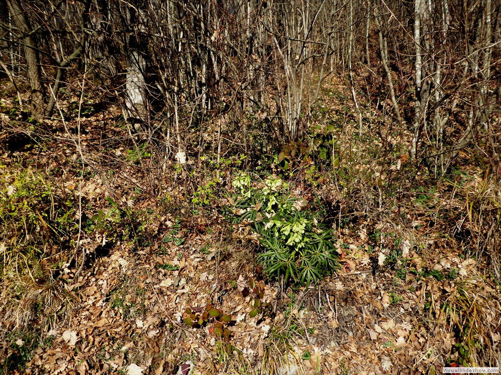 P1020655