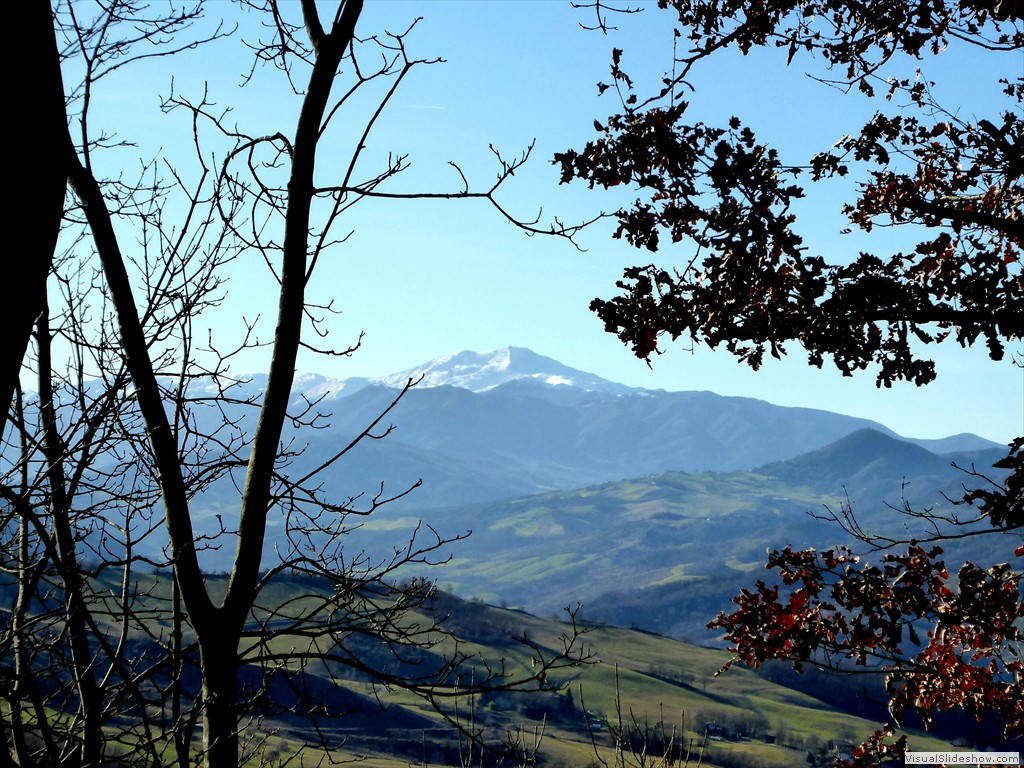 P1020656