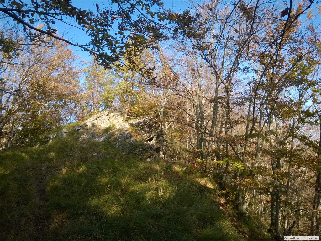 WP_20141029_14_00_27_Pro