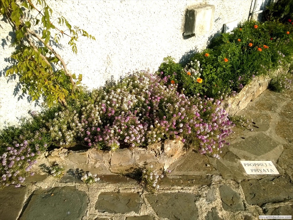 WP_20141029_15_05_05_Pro
