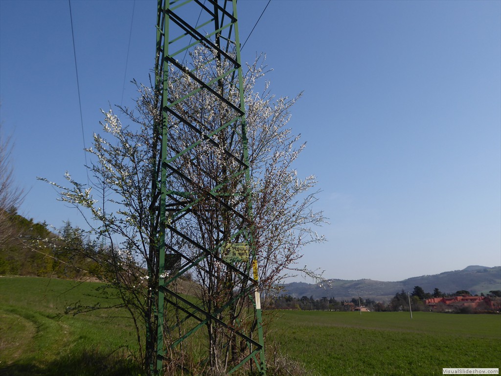 P1030481