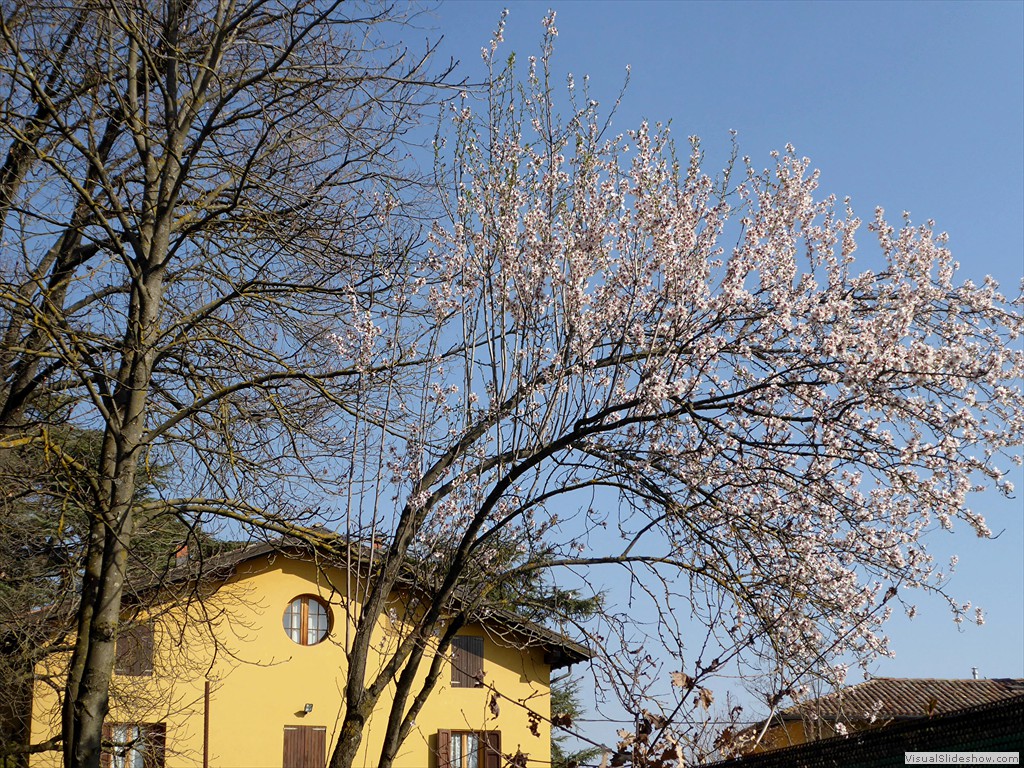P1030490