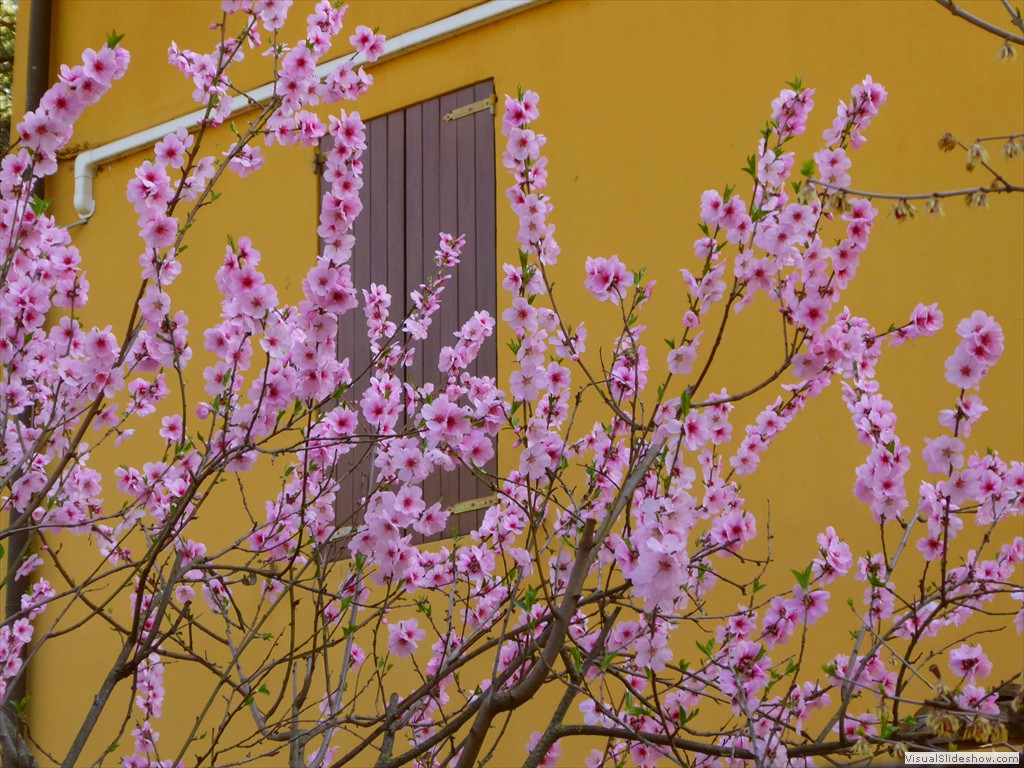P1030491