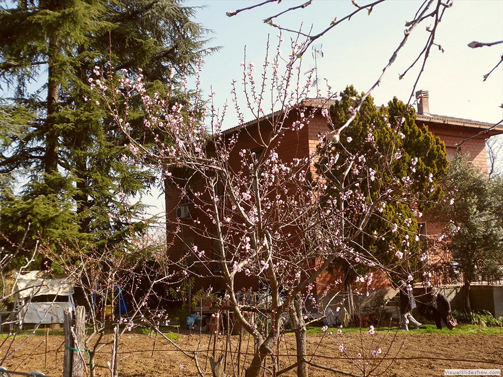 P1030495
