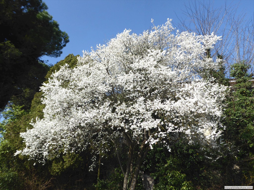 P1030496