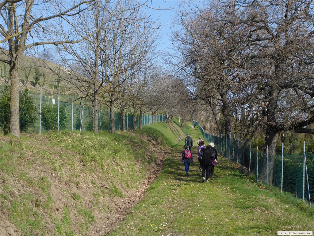 P1030502