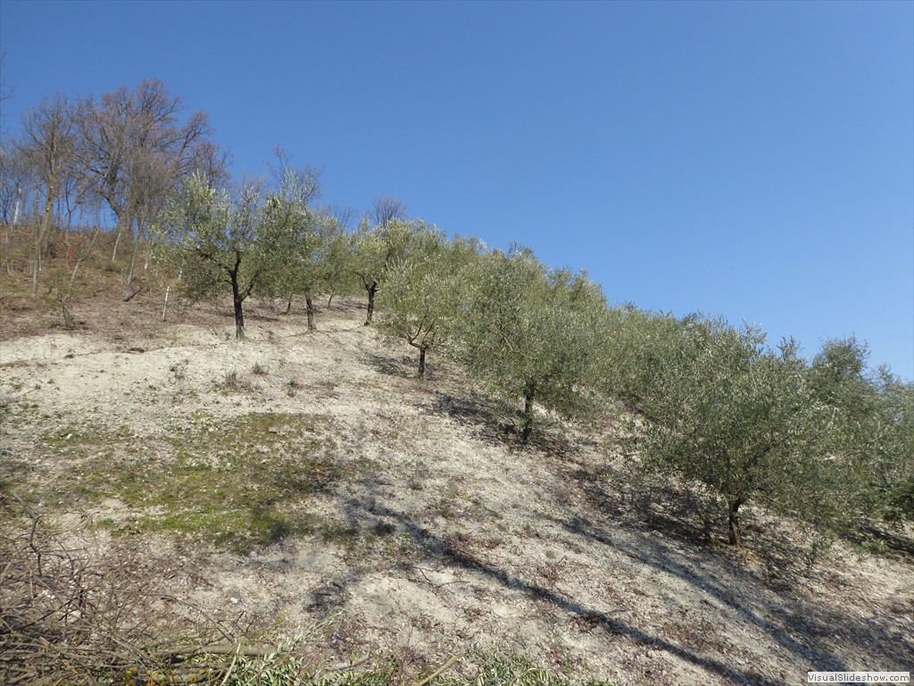 P1030507
