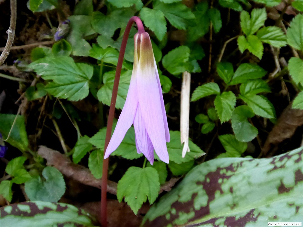 P1030516