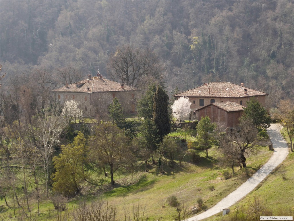 P1030523