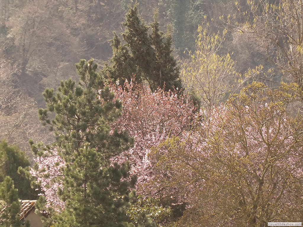 P1030527