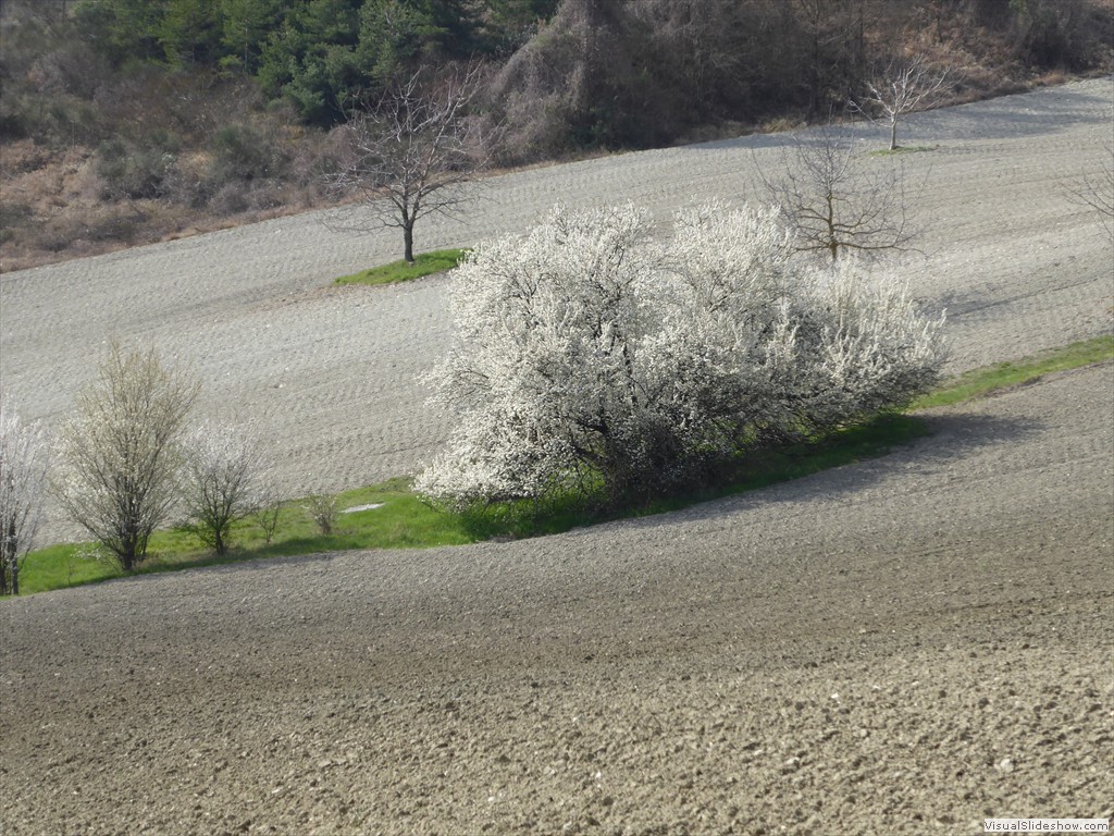 P1030528