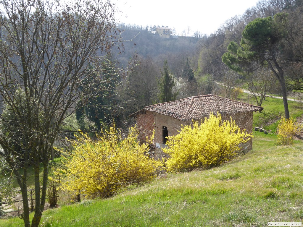 P1030531