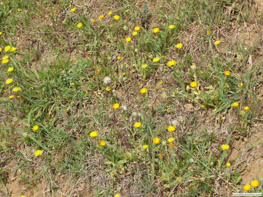 P1030535