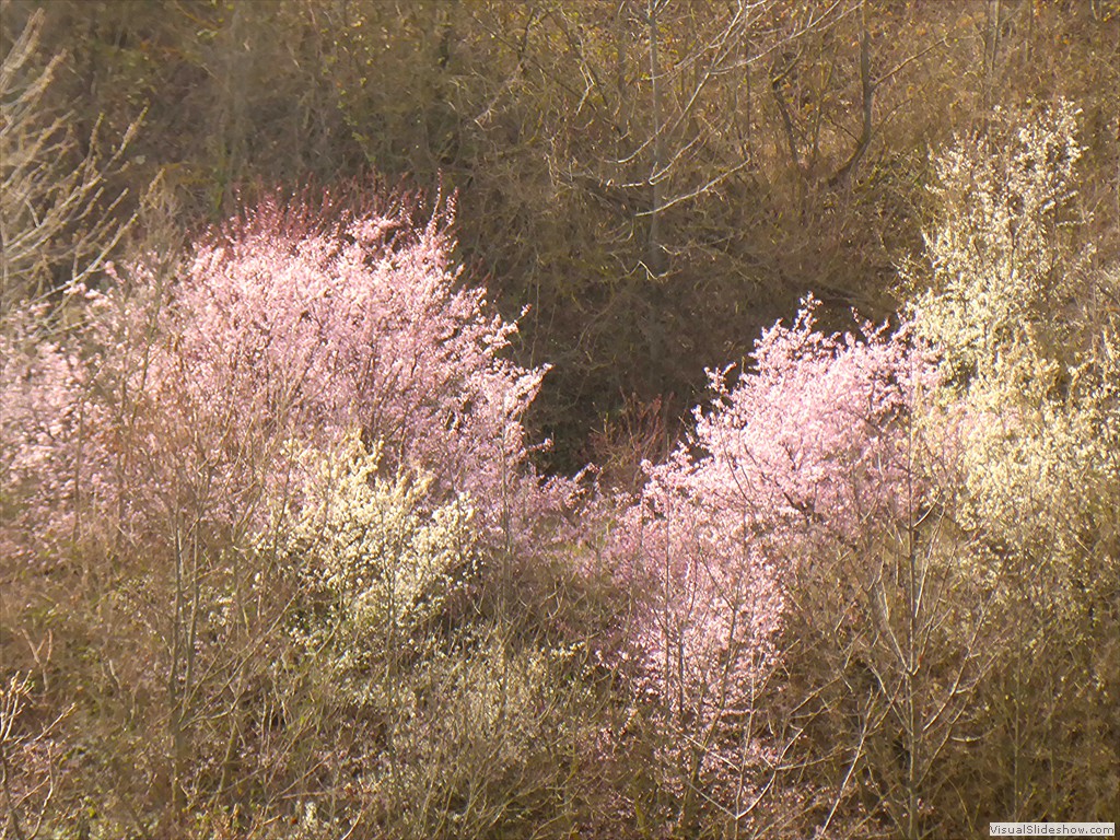 P1030539