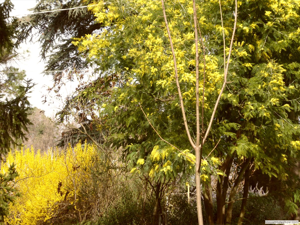 P1030550