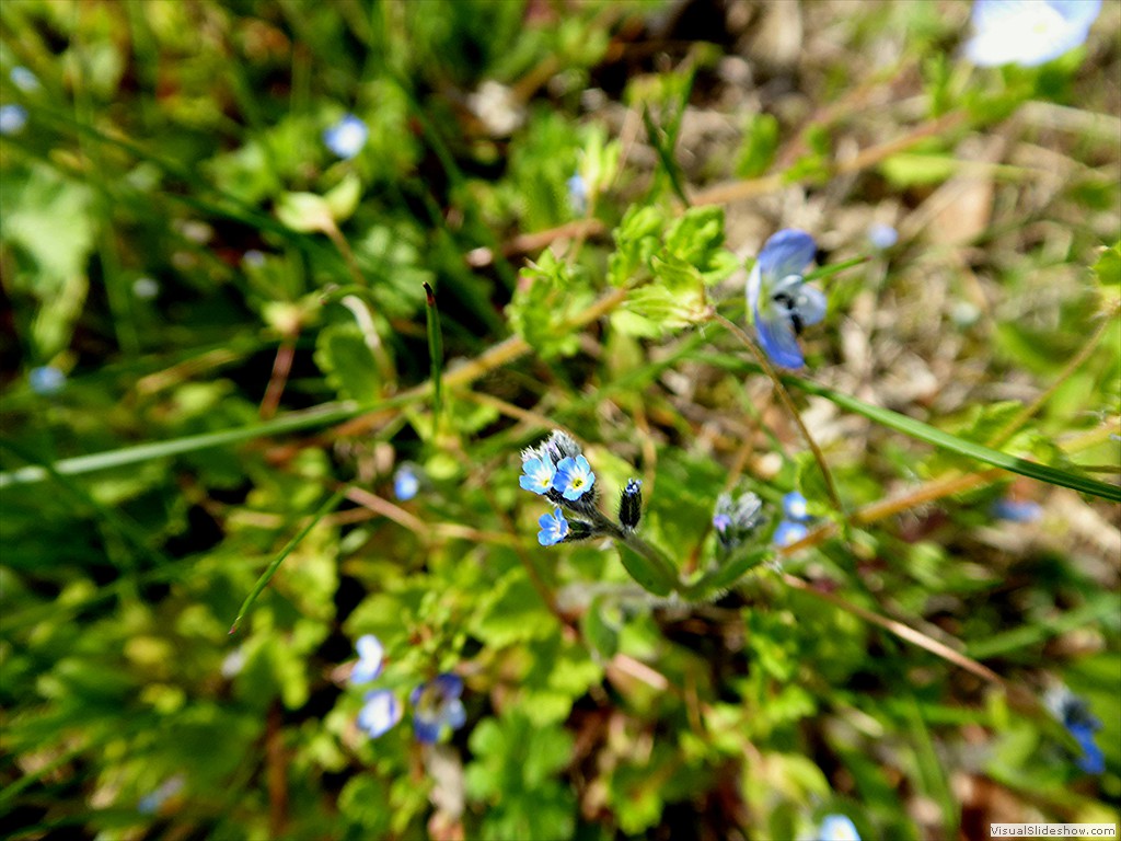 P1030554
