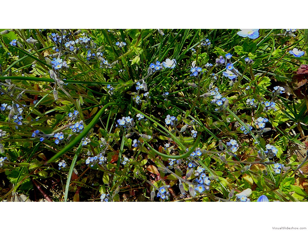 P1030558
