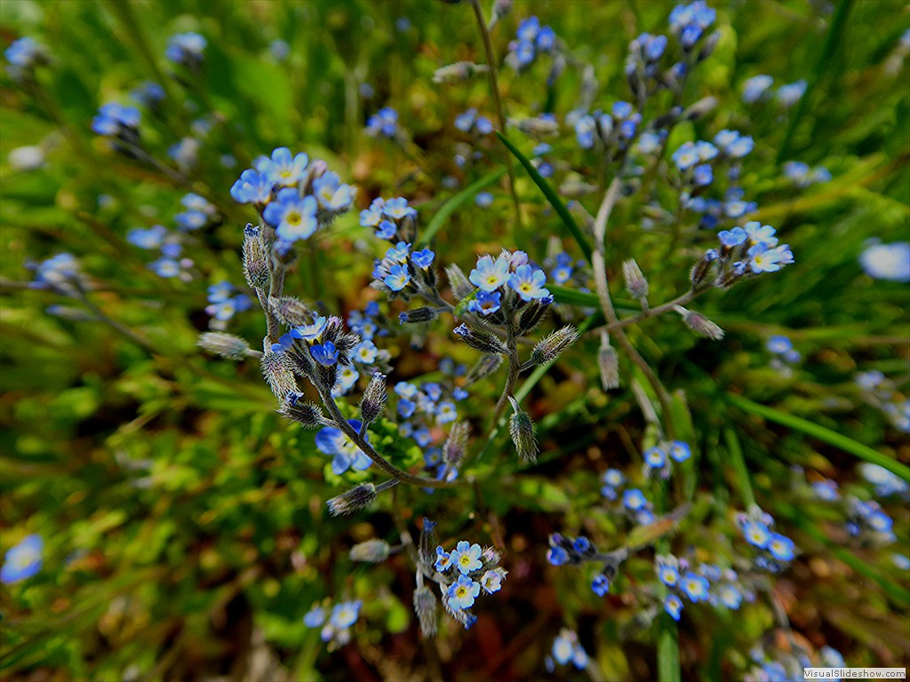 P1030560