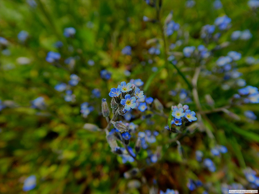 P1030561