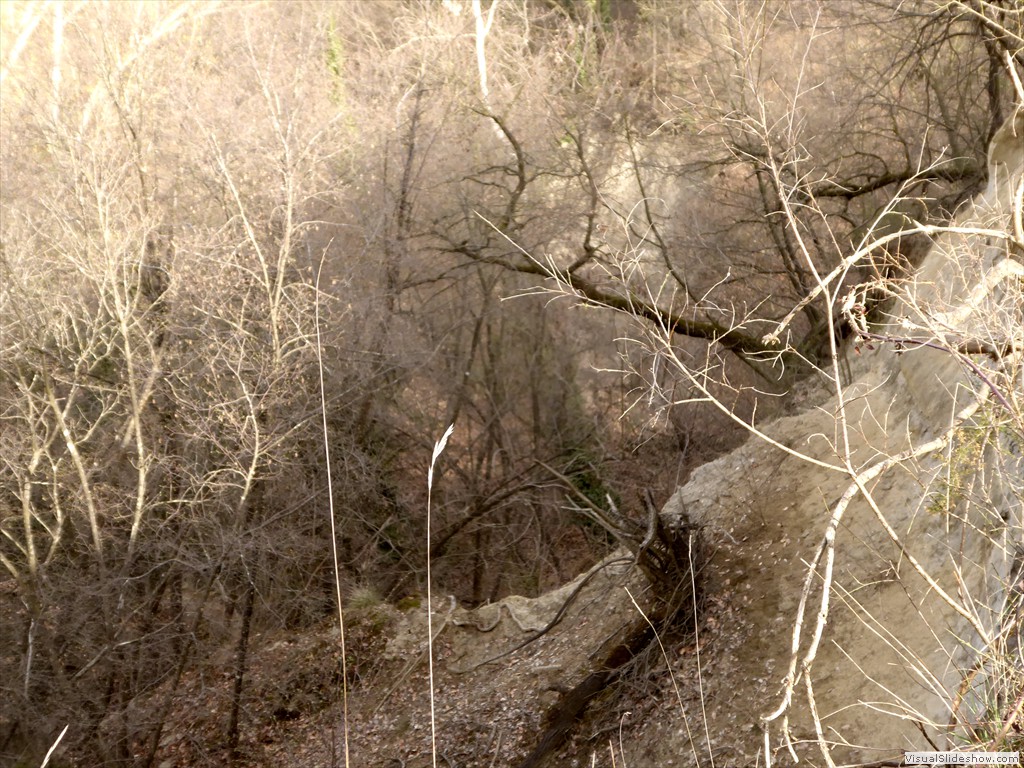 P1030581