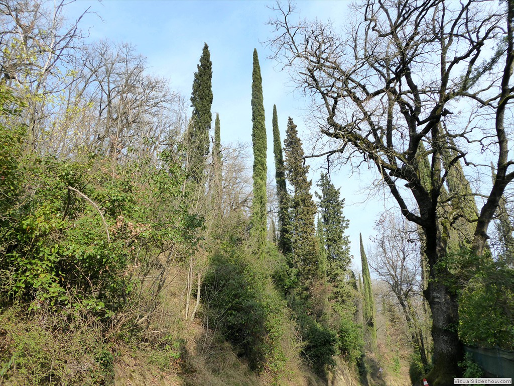 P1030582