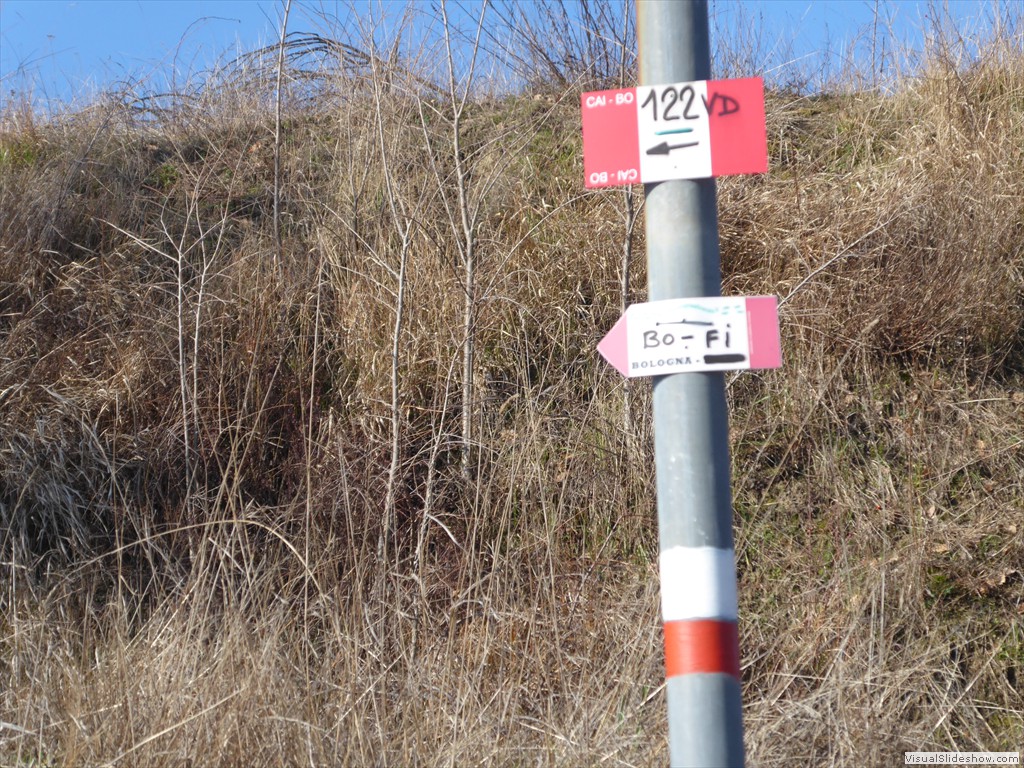 P1030113