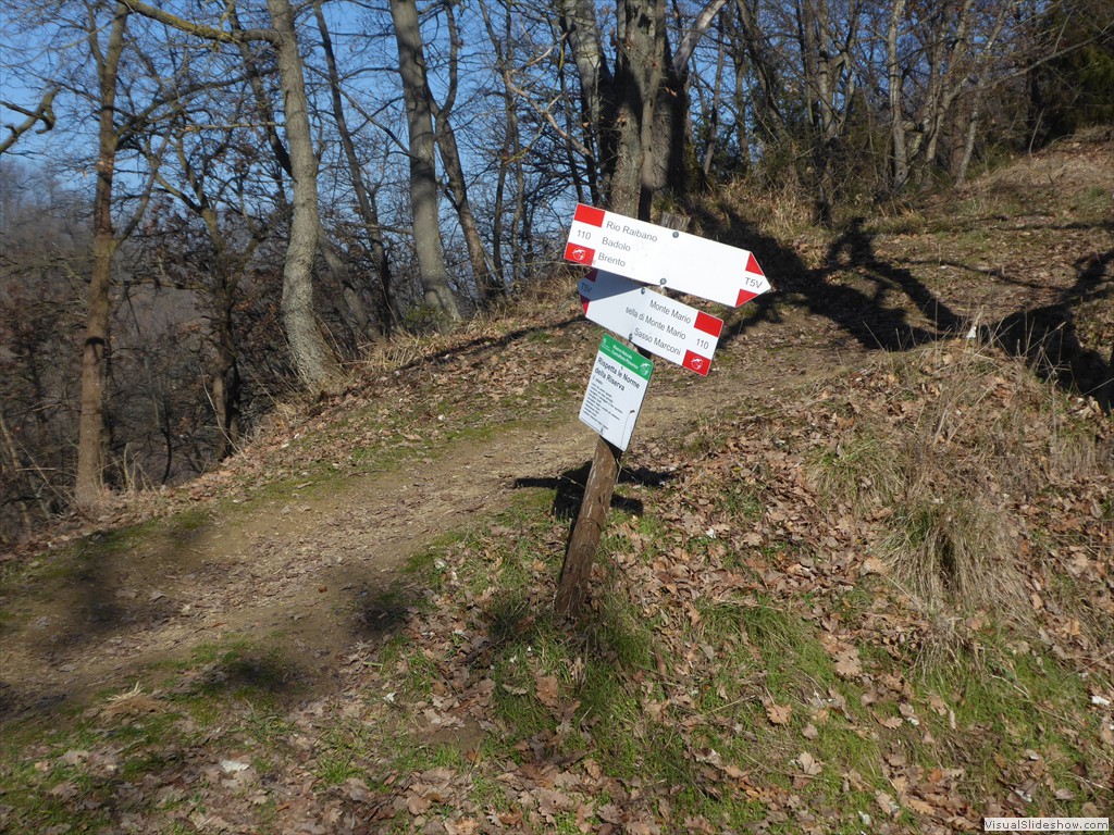 P1030118