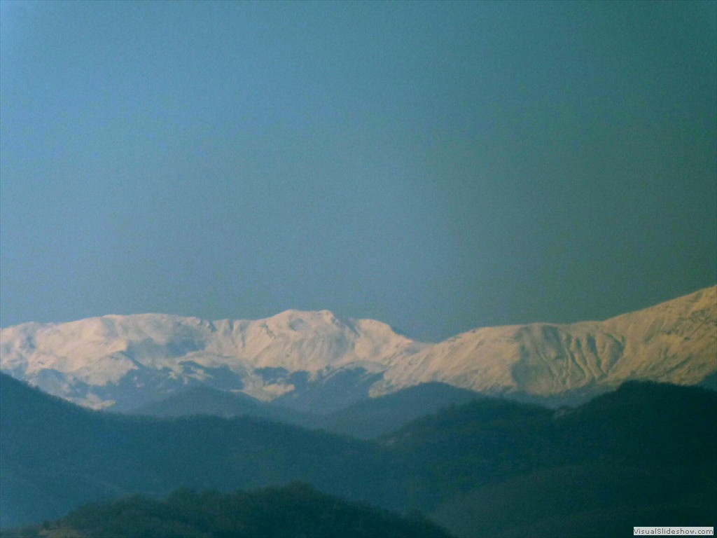P1030130