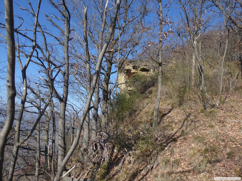 P1030134