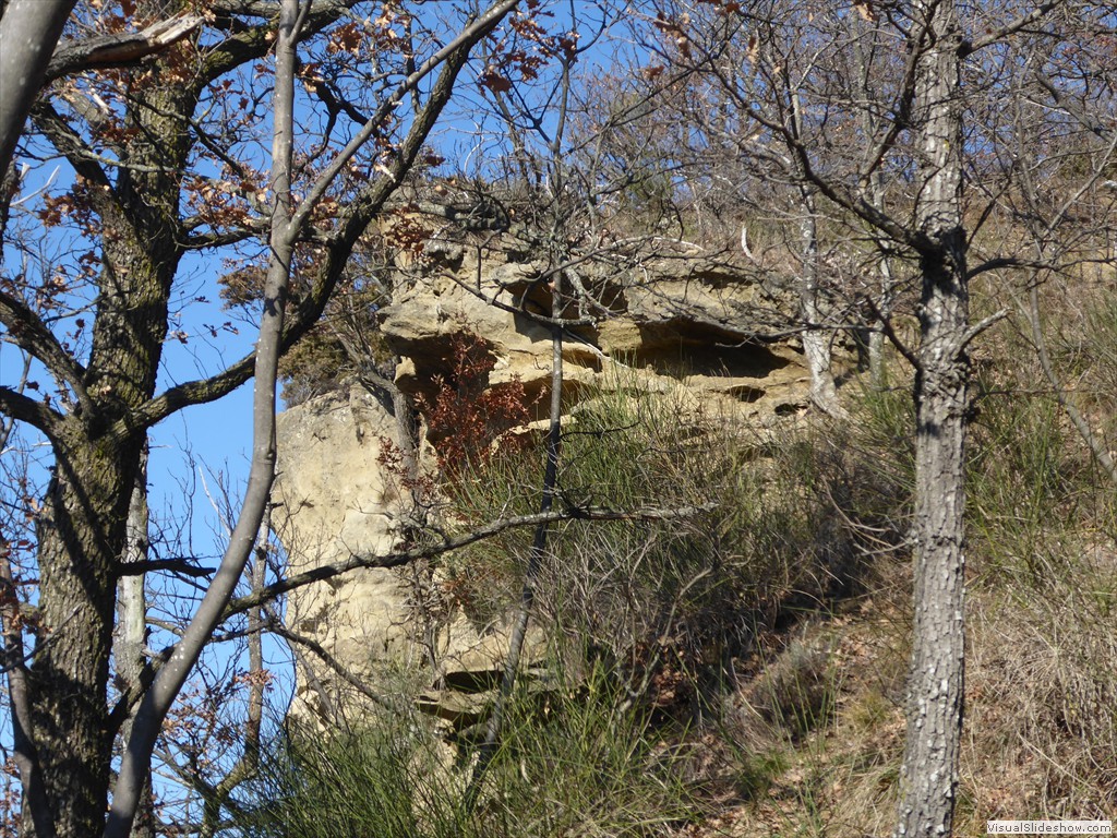 P1030135