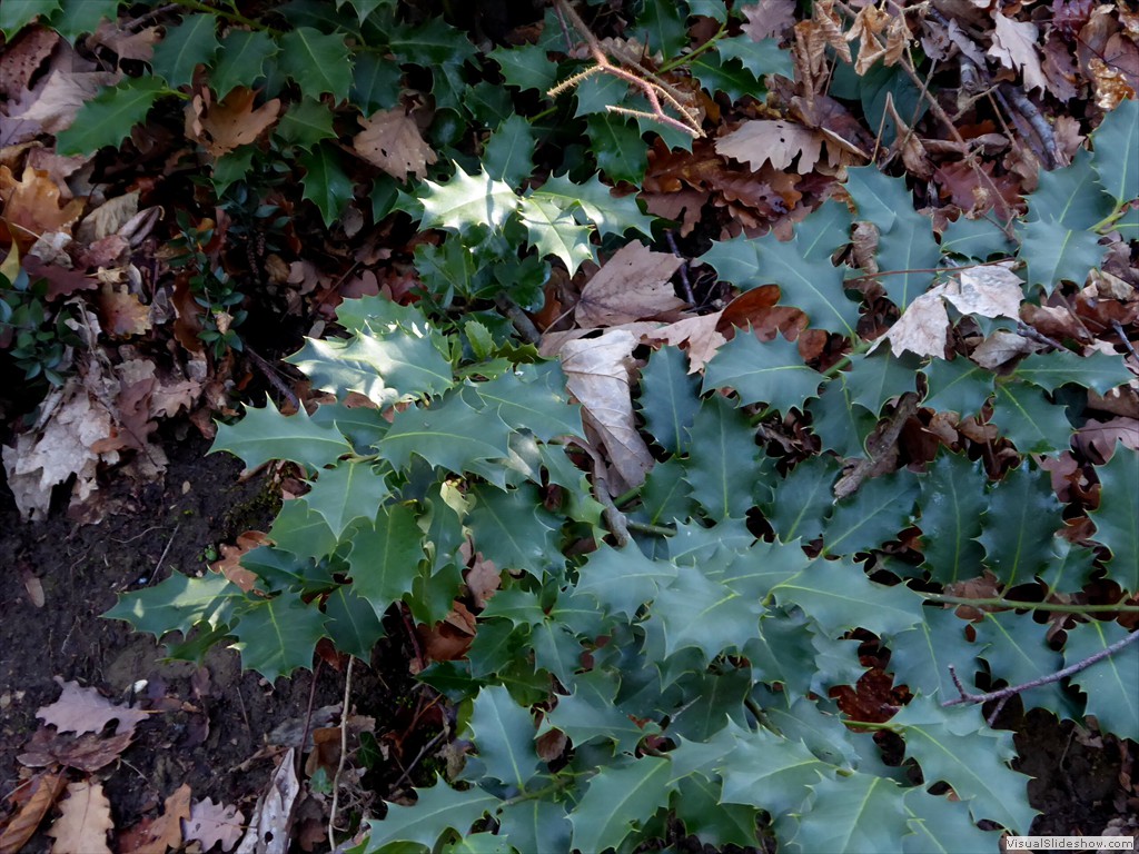 P1030156