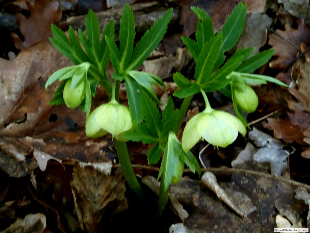 P1030157
