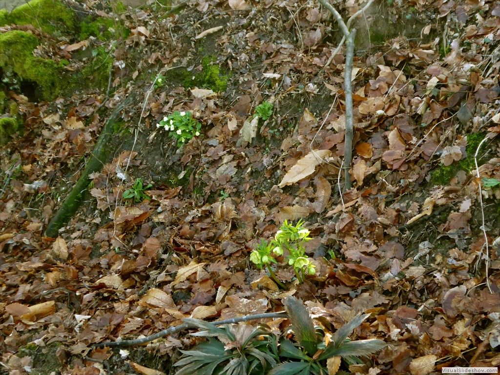 P1030158