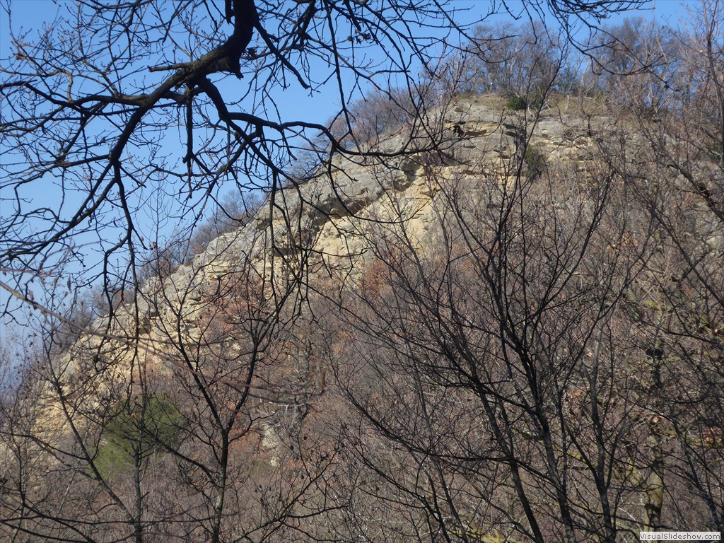 P1030159