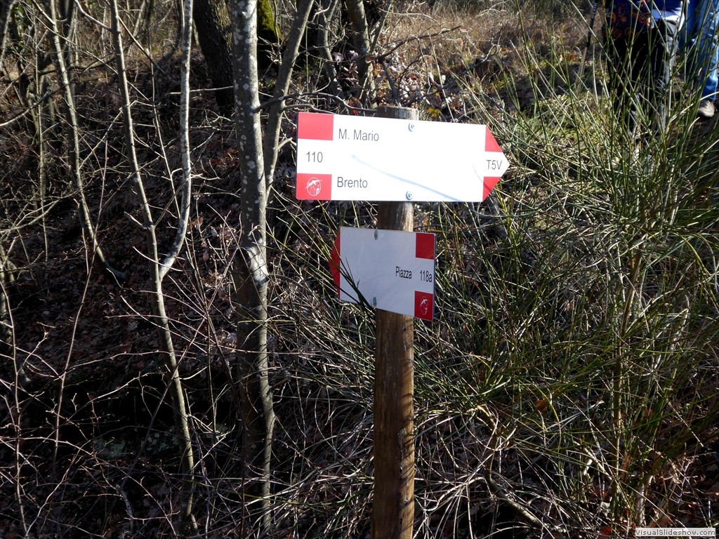 P1030160