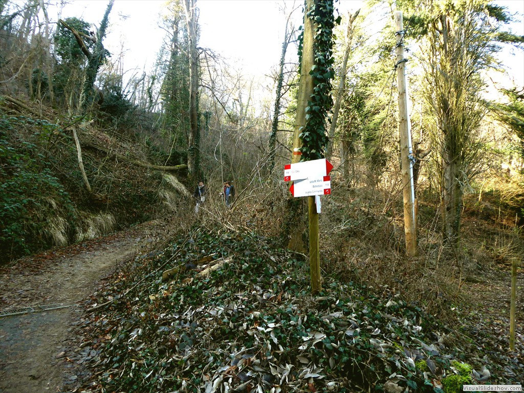 P1030164