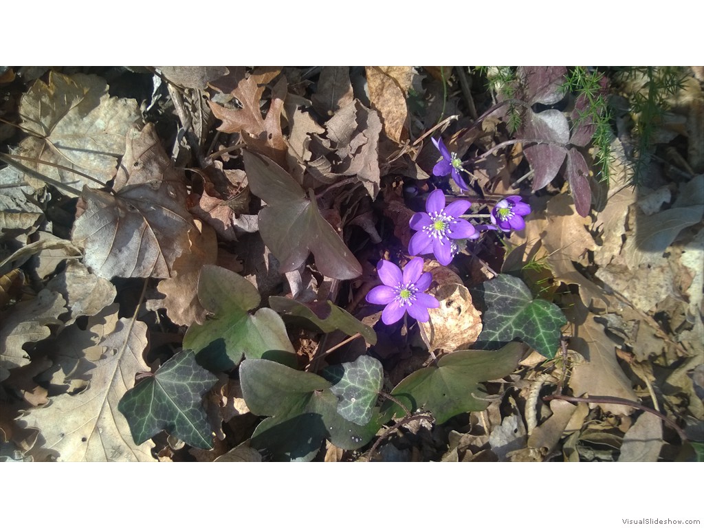 WP_20170215_13_16_05_Pro