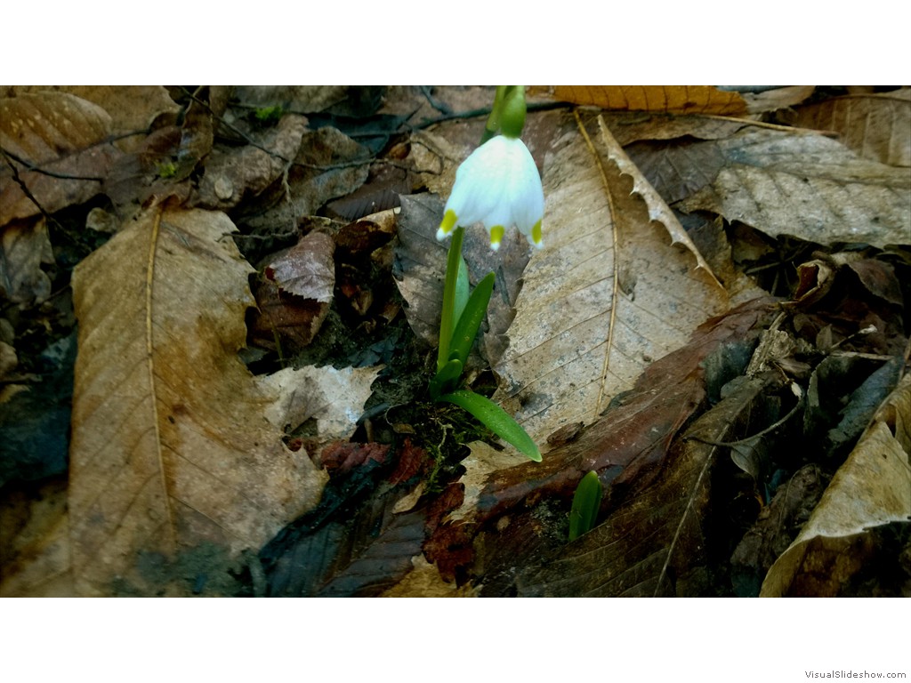 WP_20170215_13_23_43_Pro