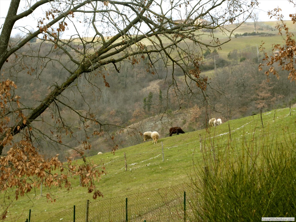 P1030054