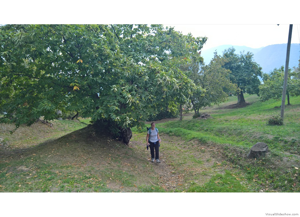 WP_20171004_12_14_09_Pro