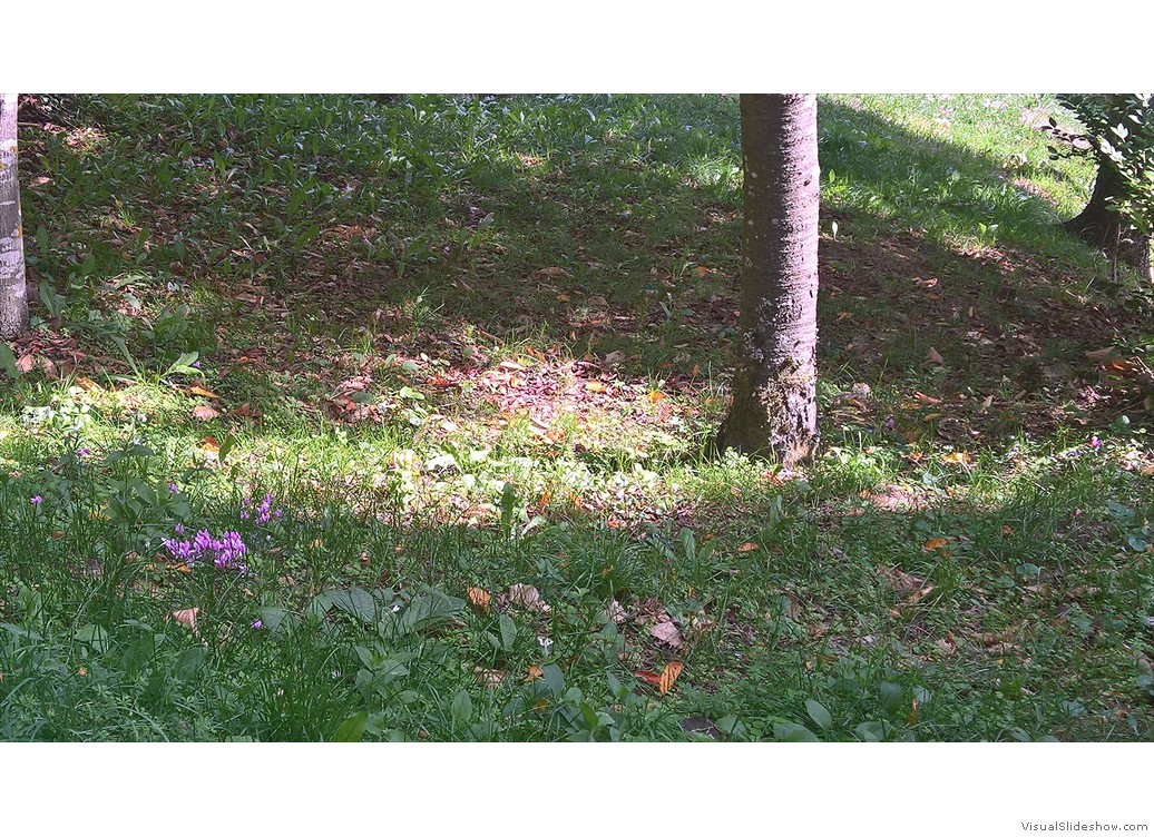 WP_20171004_12_32_18_Pro