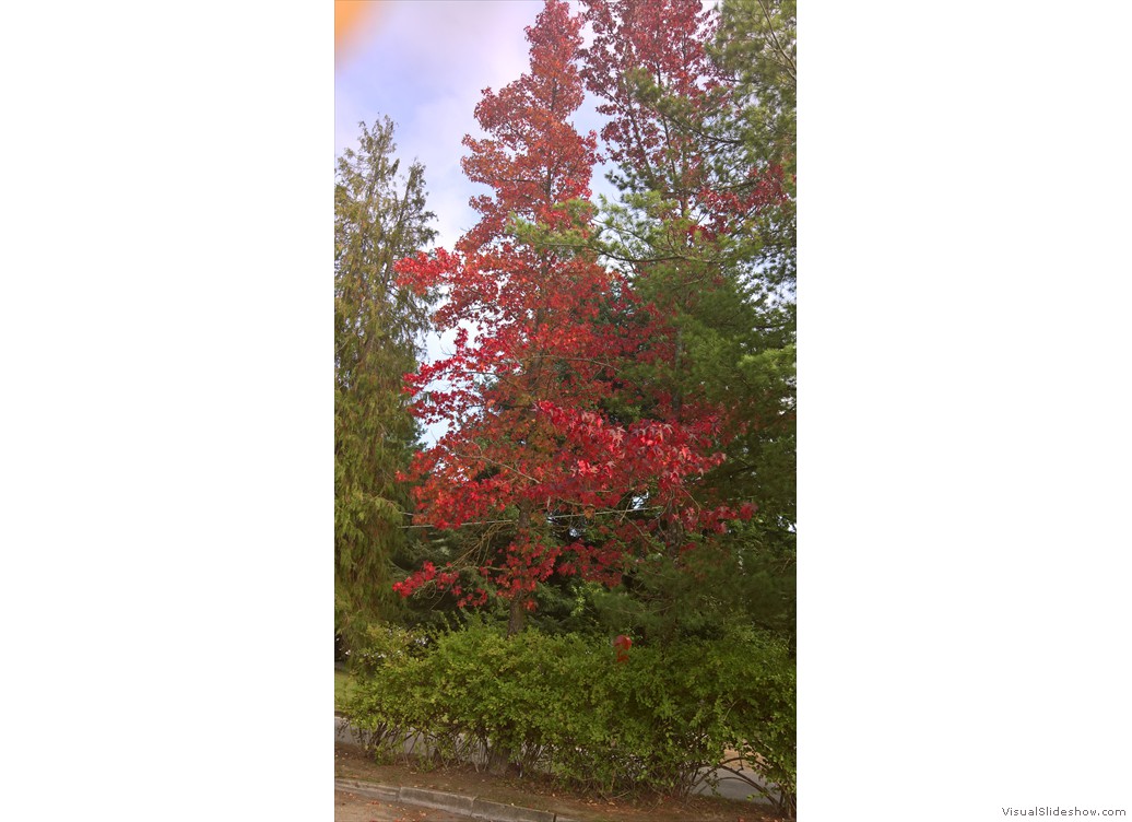 WP_20171004_15_31_38_Pro
