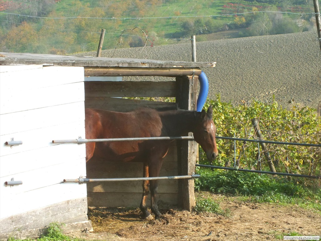 csv12166