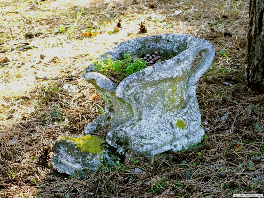 sv120107