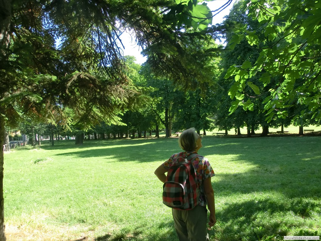 ros12009